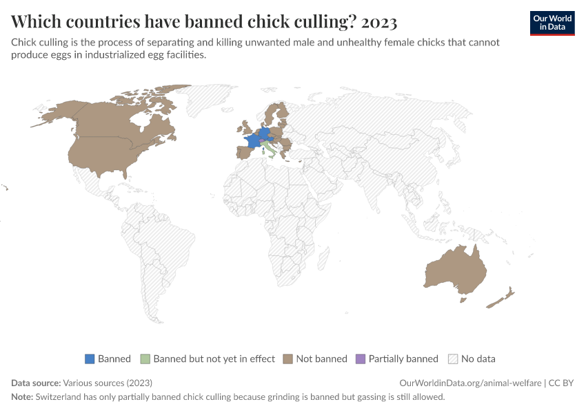 A thumbnail of the "Which countries have banned chick culling?" chart